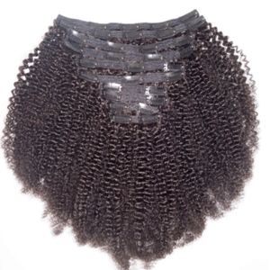 Afro Kinky Curly Clip-In Set